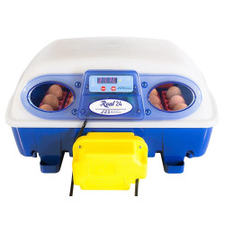 Liaheň na vajcia BOROTTO REAL 24 AUTOMATIC