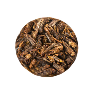 UGF Sušené kobylky 20 g