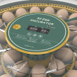 Automatická liaheň na hydinu AGROFORTEL 52H – pre 52 vajec