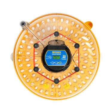 BRINSEA Maxi 48 Zoologica - špecializovaná liaheň pre papagáje a exotické vtáctvo