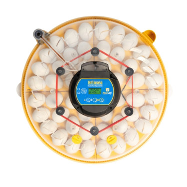 BRINSEA Maxi 48 EX Connect - múdra liaheň pre sliepky, prepelice aj husi