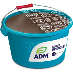 MINERÁLNY MELASOVANÝ LIZ BLOCK BLOCK BREBIGEST - Príprava oviec na bahnenie