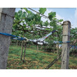 Pákový lanový navijak KERBL 37117 HAND POWER PULLER 3 m / 1250 kg
