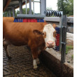 Škrabadlo pre hovädzí dobytok Euro Farm s pružinou