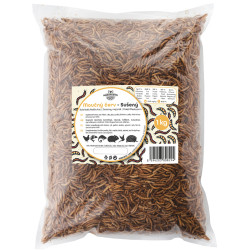 Múčny červ 1 kg