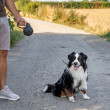 Vodítko samonavíjacie 5 m/20 kg, páska, antracit  