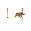 Kerbl agility prekážky pre psov, sada, 3 typy
