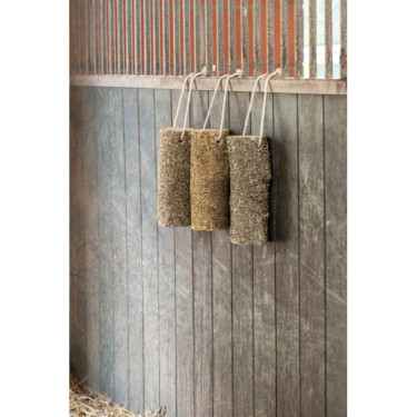 Okúsovacie drevo pre kone Delizia