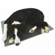 THERMODOG výhrevná doska pre psov, podlaha 40x60 cm, 12 V/20W, PVC, napr. z autozástrčky aj siete 230 V