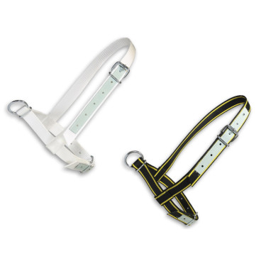 Ohlávka pre kravy a mladé býčky, veľ. M nastaviteľná, kožená výstuž, s D-krúžkom