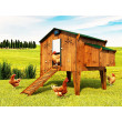 Komplet automatického otvárania a zatvárania kurína CHICKEN GUARD EXTREME 25x30