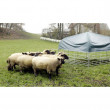 Mobilný prístrešok pre ovce a kozy s plachtou, 2,75 x 2,75 m