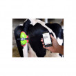 MooCall Senzor otelenie hovädzieho dobytka, elektronický