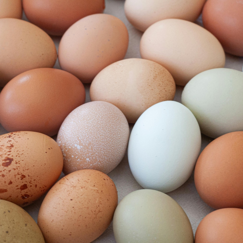 Veľkonočná sliepka: farebné vajíčka bez farbenia